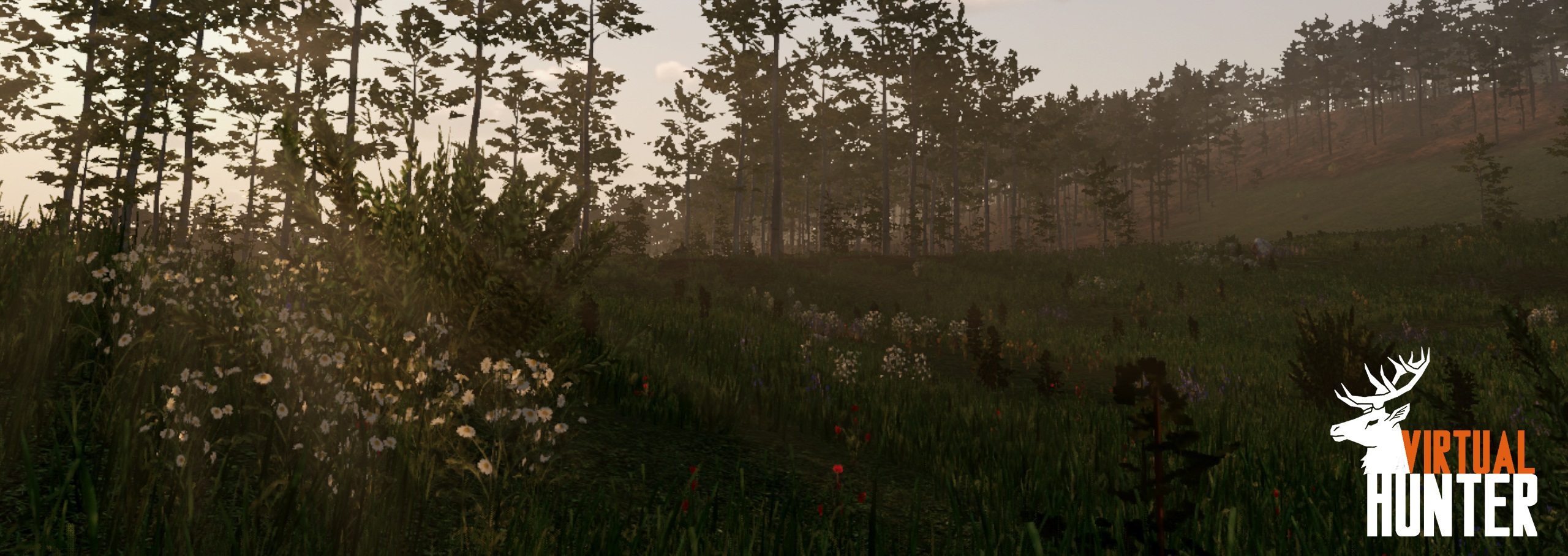 Meadow banner image