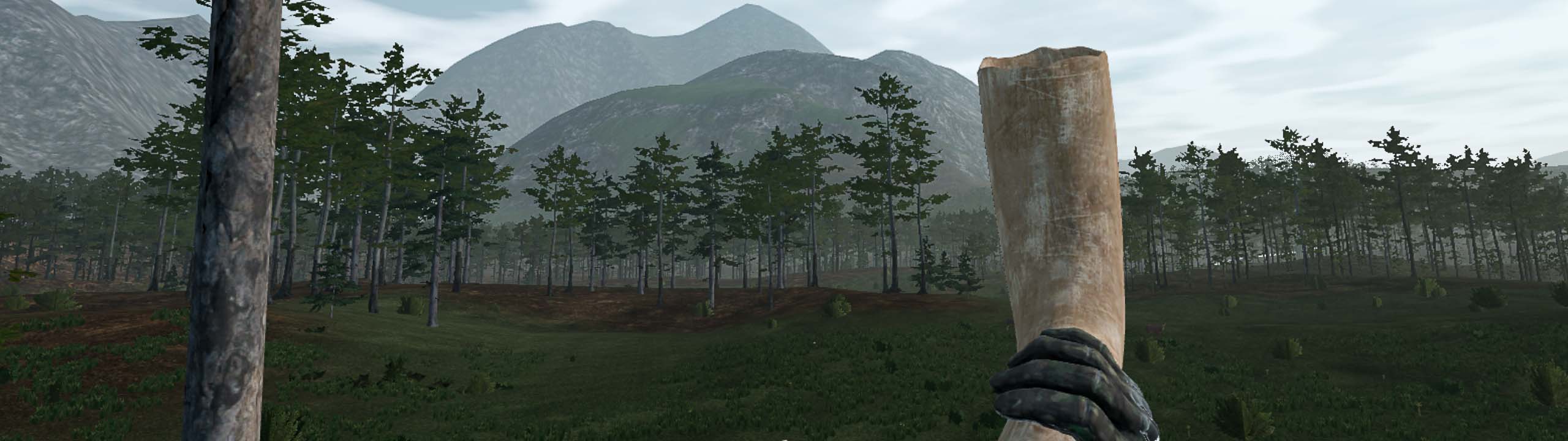 Banner image