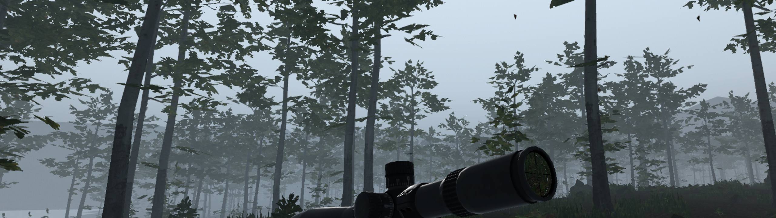 Banner image
